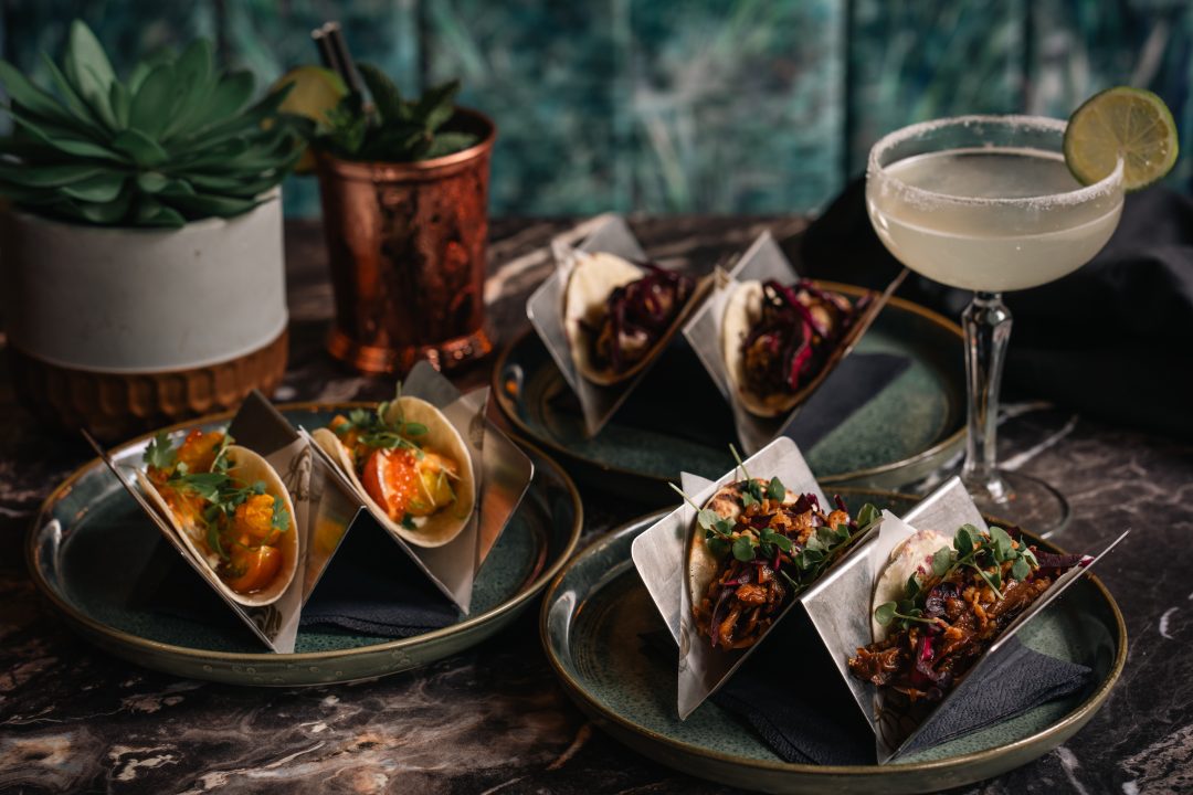 Fine dining food presentation - Branding photography by Sonder Moments Media